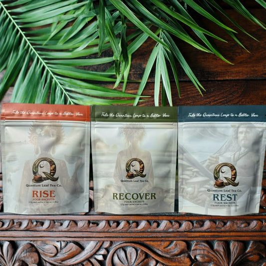 Adaptogenic Mushroom Tea - 4 ct mini bags